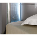  Furniture of America Bellanova CM7979SV 6 pc Queen Upholstered Panel Bedroom Set IMAGE 4
