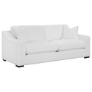  Coaster Furniture Ashlyn 509891-S2 2 pc Living Room Set IMAGE 2