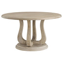  Coaster Furniture Trofello 123120-S5 5 pc Dining Set IMAGE 2