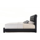  Size_Queen -- Acme Furniture Ireland II Upholstered Platform Bed IMAGE 2