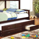  Furniture of America Kids Beds Trundle Bed CM-BK458Q-CTR-EXP IMAGE 1