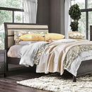 Furniture of America Berenice CM7580GY-CK California King Bed IMAGE 4