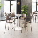  Zuo Ace 101286 Barstool - Brown & Walnut IMAGE 7