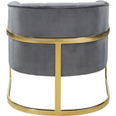  Manufacturer Color_Grey -- Carter Grey Velvet Upholstered Accent Chair IMAGE 3