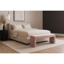  Color_Pink -- Minimalist Pink Velvet Upholstered Bench IMAGE 2
