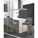  Color_Gold/ Grey -- Karina Grey Velvet Upholstered Counter Stool IMAGE 2