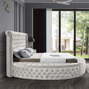  Color_Cream  Size_King  -- Luxus Cream Velvet Upholstered King Bed IMAGE 9