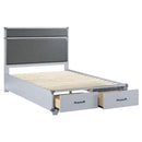  Acme Furniture Orchest 36135F Full Bed IMAGE 2