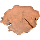  Meridian Woodland Natural Acacia Wood Top And Acrylic Base Coffee Table IMAGE 5