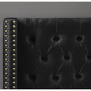  Color_Black  Size_Queen  -- Barolo Black Velvet Upholstered Queen Bed IMAGE 7