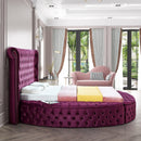  Color_Purple  Size_King  -- Luxus Purple Velvet Upholstered King Bed IMAGE 9