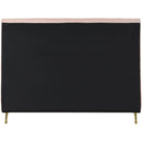 Color_Gold/ Pink  Size_Full  -- Zara Pink Velvet Upholstered Full Bed IMAGE 5