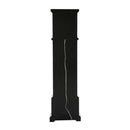  Acme Furniture Noralie AC00348 Grandfather Clock with LED IMAGE 3