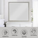  Acme Furniture Sliverfluff BD00244 Mirror IMAGE 5