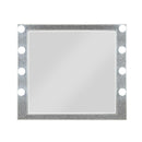  Acme Furniture Sliverfluff BD00245 Mirror with Light IMAGE 2