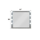  Acme Furniture Sliverfluff BD00245 Mirror with Light IMAGE 4