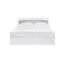  Acme Furniture Perse BD00548Q Queen Bed with Storage IMAGE 1