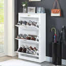  Acme Furniture Pagan AC00744 Shoe Cabinet IMAGE 1