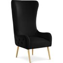  Manufacturer Color_Black -- Meridian Alexander Stationary Fabric Accent Chair IMAGE 1