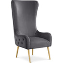  Manufacturer Color_Grey -- Alexander Grey Velvet Upholstered Accent Chair IMAGE 1