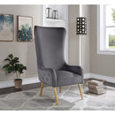  Manufacturer Color_Grey -- Alexander Grey Velvet Upholstered Accent Chair IMAGE 2
