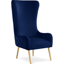  Manufacturer Color_Navy -- Alexander Navy Velvet Upholstered Accent Chair IMAGE 1