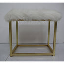  Acme Furniture Adao AC00932 Vanity Mirror & Stool IMAGE 6