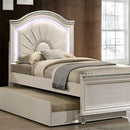  Size_Twin -- Furniture of America Allie Upholstered Panel Bed IMAGE 1