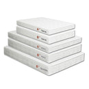  Furniture of America Daisy DM-Combo-Q-8 8" Queen Size IMAGE 2