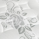  Size_Full -- Elbertyna DM331F-M Full IMAGE 5