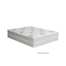  Size_Twin -- Elbertyna DM331T-M Twin IMAGE 3