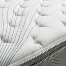  Size_Queen -- Stormin DM338Q-M Queen IMAGE 4