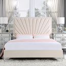 Size_Queen -- Acme Furniture Faiz Upholstered Panel Bed IMAGE 1