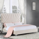  Size_Queen -- Acme Furniture Faiz Upholstered Panel Bed IMAGE 6