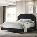 Acme Furniture Zeena Queen Upholstered Panel Bed BD01176Q IMAGE 1
