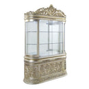  Acme Furniture Sorina DN01211 Curio IMAGE 1