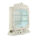  Acme Furniture Adara DN01232 Curio IMAGE 1