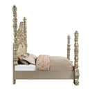 Acme Furniture Danae BD01234EK EK Bed IMAGE 3