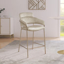  Color_Stone -- Yara Stone Velvet Upholstered Counter Stool IMAGE 2