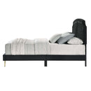  Size_Full -- Zeena BD01461F Full Bed IMAGE 3