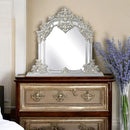  Acme Furniture Sandoval BD01489 Mirror IMAGE 4