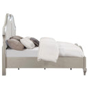  Size_King --  Coaster Furniture Evangeline Upholstered Panel Bed IMAGE 4