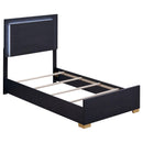  Size_Twin -- Marceline 222831T Wood Twin LED Panel Bed - Black IMAGE 1