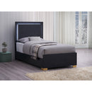  Size_Twin -- Marceline 222831T Wood Twin LED Panel Bed - Black IMAGE 2