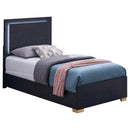 Size_Twin -- Marceline 222831T Wood Twin LED Panel Bed - Black IMAGE 4