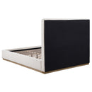  Size_Queen -- Coaster Furniture Knox Upholstered Panel Bed IMAGE 4