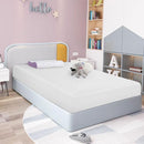  Size_Full -- Coreopsis DM520-F 8" Full Memory Foam Mattress IMAGE 10