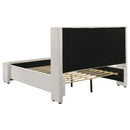  Size_Queen -- Coaster Furniture Alamosa Upholstered Platform Bed IMAGE 4