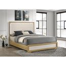  Size_Queen --  Hyland 215651Q Wood Queen LED Panel Bed - Natural and White IMAGE 2