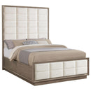  Size_Queen -- Coaster Furniture Durango Upholstered Panel Bed IMAGE 3